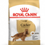 Cocker Spaniel Royal Canin Adult Dog Food