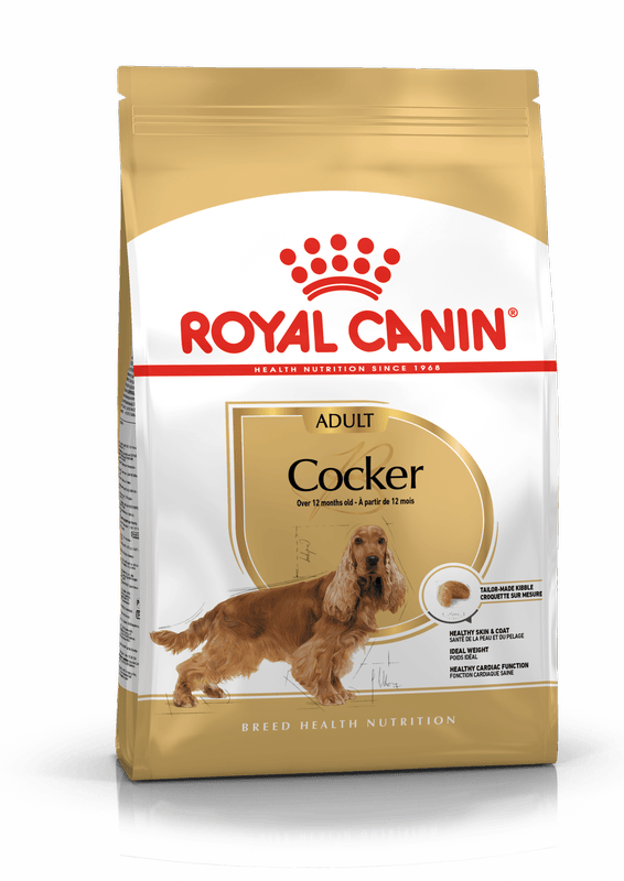 Cocker Spaniel Royal Canin Adult Dog Food