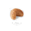 Cocker Spaniel Royal Canin Adult Dog Food