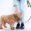 Green PAWPAW Dog Collar + Leash Set