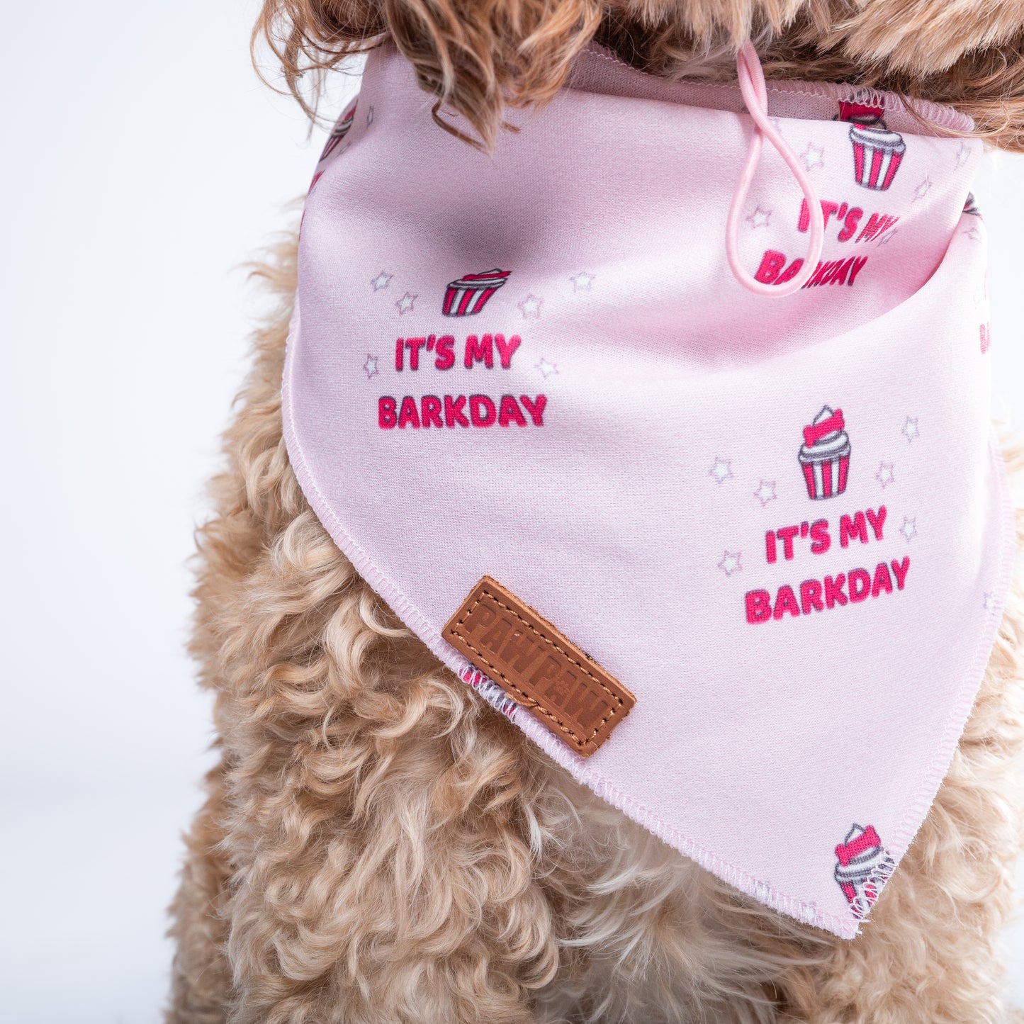 “It's My Barkday” Pink PAWPAW Dog Bandana