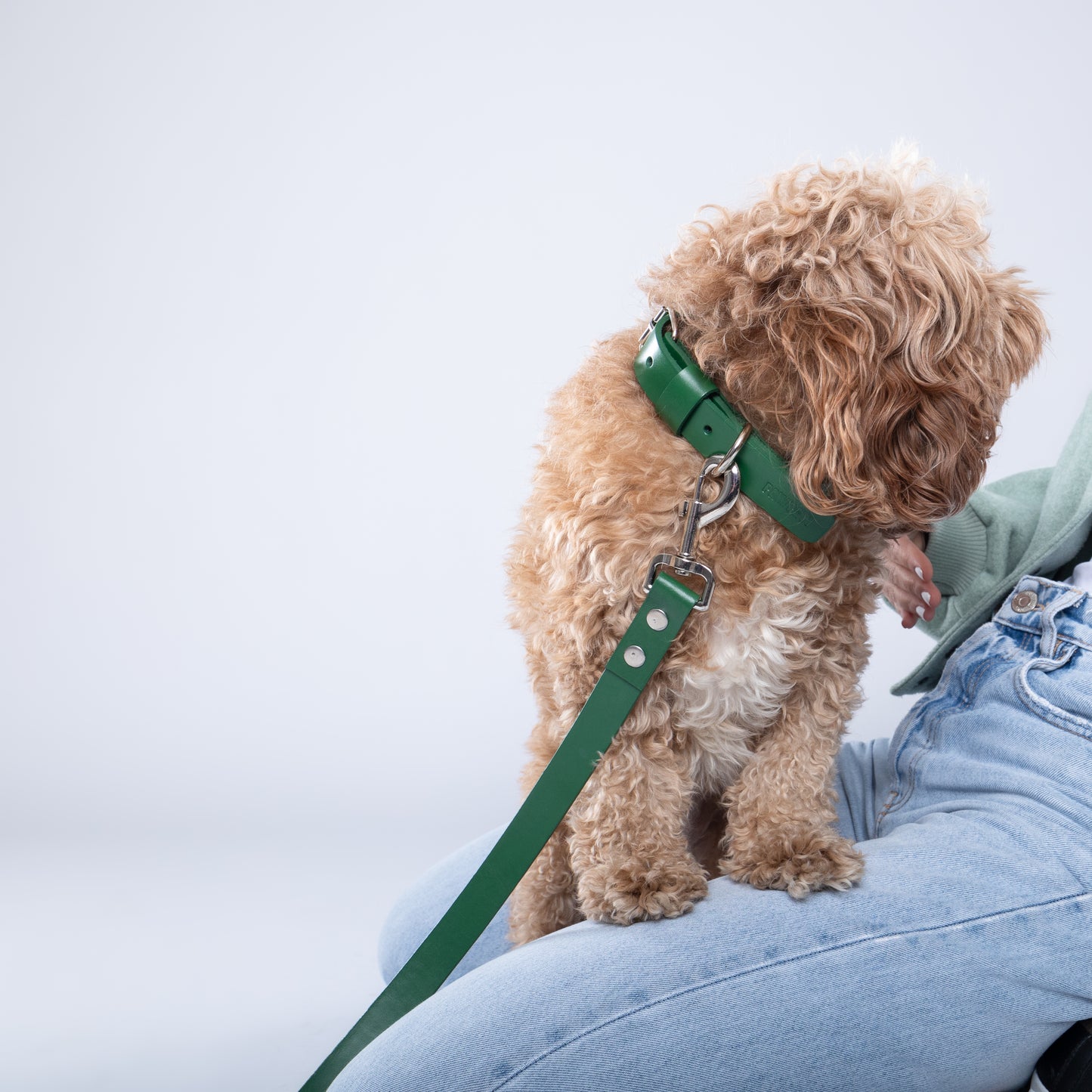 Green PAWPAW Dog Leather Collar