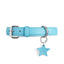 “Favorite Child” PَAWPAW Dog Collar Charm