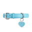 “Lover Not a Biter” PَAWPAW Dog Collar Charm