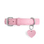 “Lover Not a Biter” PَAWPAW Dog Collar Charm