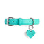 “Lover Not a Biter” PَAWPAW Dog Collar Charm