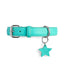 “Favorite Child” PَAWPAW Dog Collar Charm