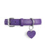 “Lover Not a Biter” PَAWPAW Dog Collar Charm