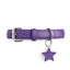 “Favorite Child” PَAWPAW Dog Collar Charm