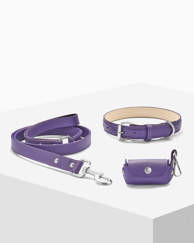 Purple PAWPAW Dog Collar + Leash + Poo Bag Holder Set