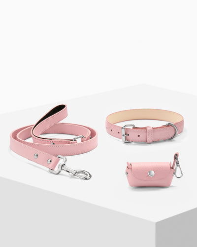 Light Pink PAWPAW Dog Collar + Leash + Poo Bag Holder Set