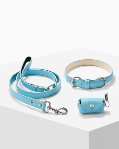 Sky Blue PAWPAW Dog Collar + Leash + Poo Bag Holder Set