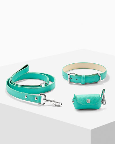 Teal PAWPAW Dog Collar + Leash + Poo Bag Holder Set