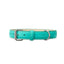 Teal PAWPAW Dog Leather Collar
