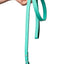 Teal PawFlex PAWPAW Dog Leash