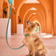 Teal PAWPAW Dog Collar + Leash + Poo Bag Holder Set