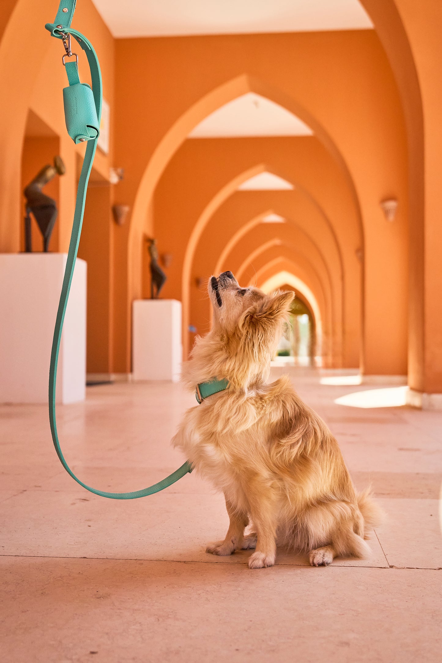 Teal PAWPAW Dog Collar + Leash + Poo Bag Holder Set
