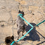 Teal PAWPAW Dog Leather Leash Splitter