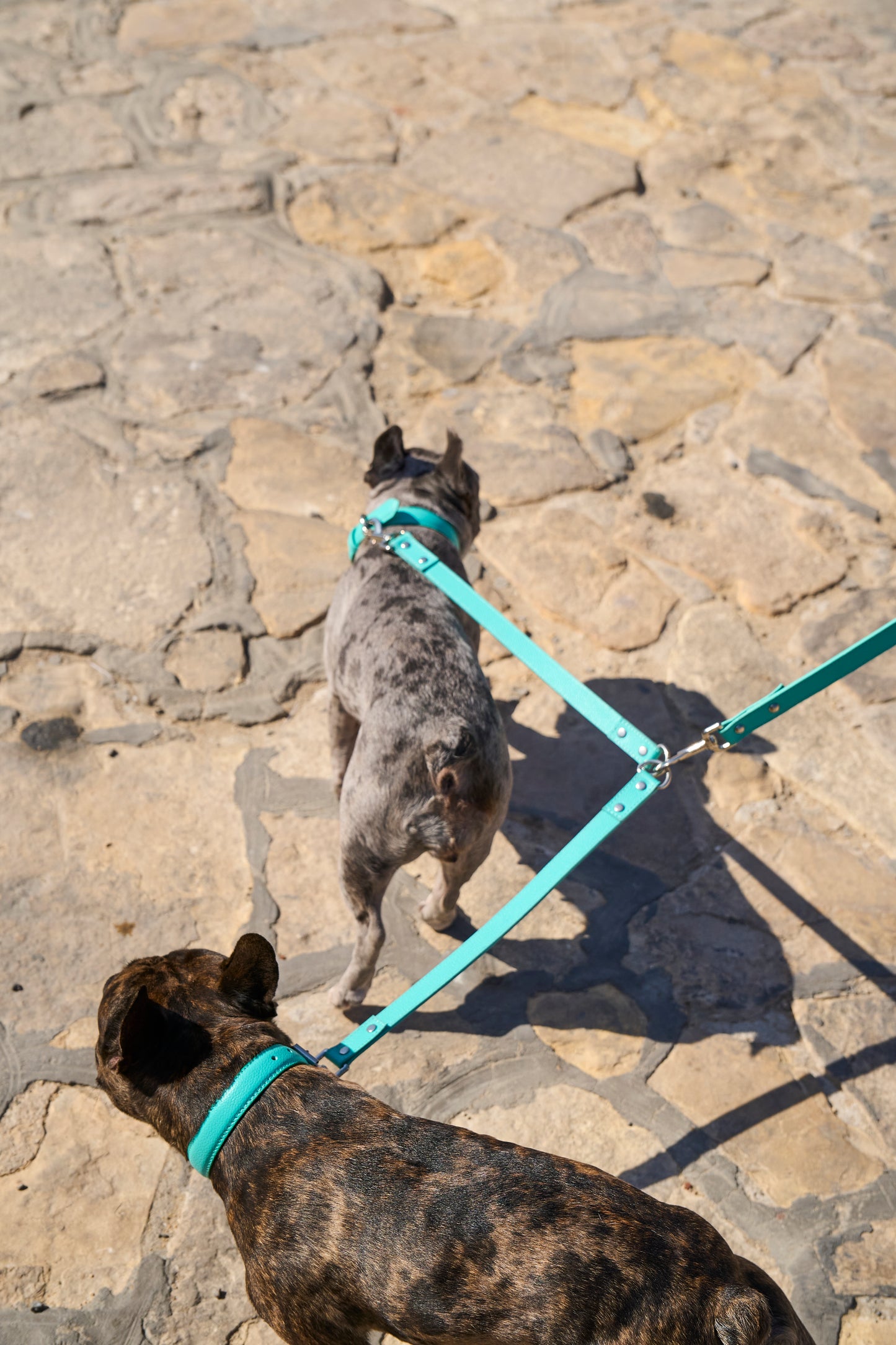 Teal PAWPAW Dog Leather Leash Splitter