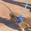 “Pawtective Eye” PAWPAW Dog Bandana