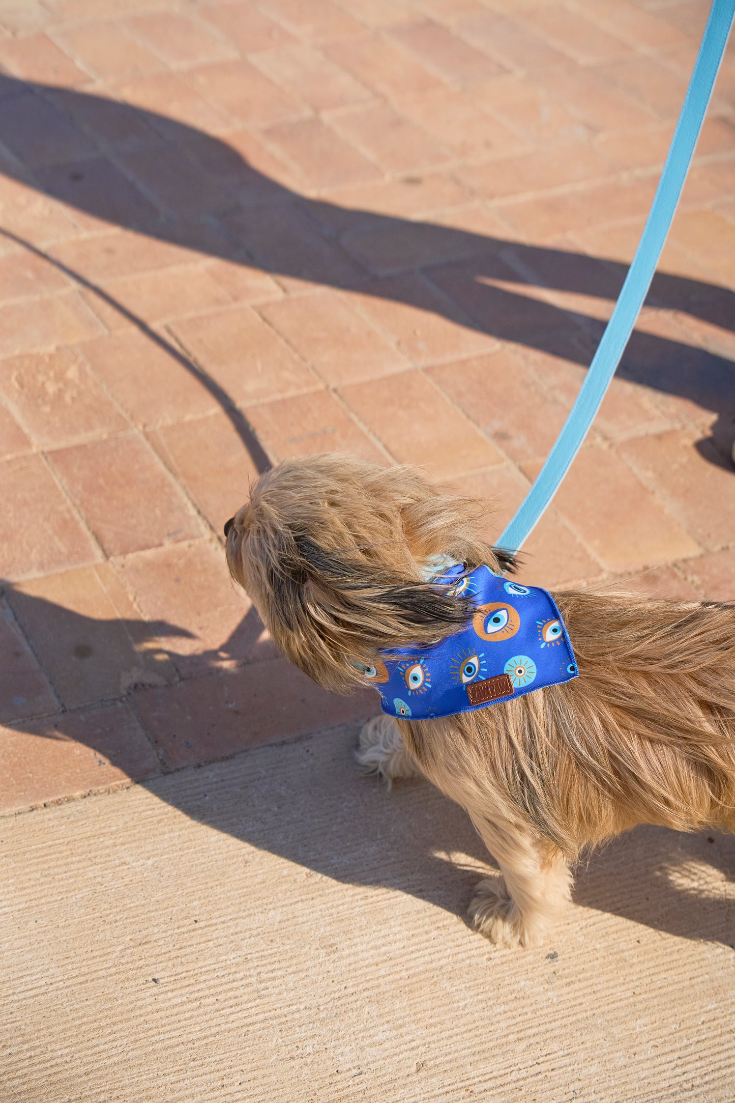 “Pawtective Eye” PAWPAW Dog Bandana