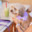 “Matcha Pawcha” PAWPAW Dog Bandana