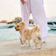Light Pink PAWPAW Dog Collar + Leash + Poo Bag Holder Set