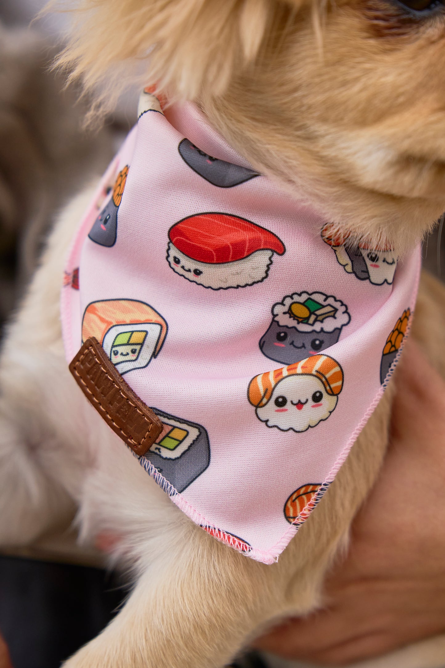 “Cutie Sushi” PAWPAW Dog Bandana