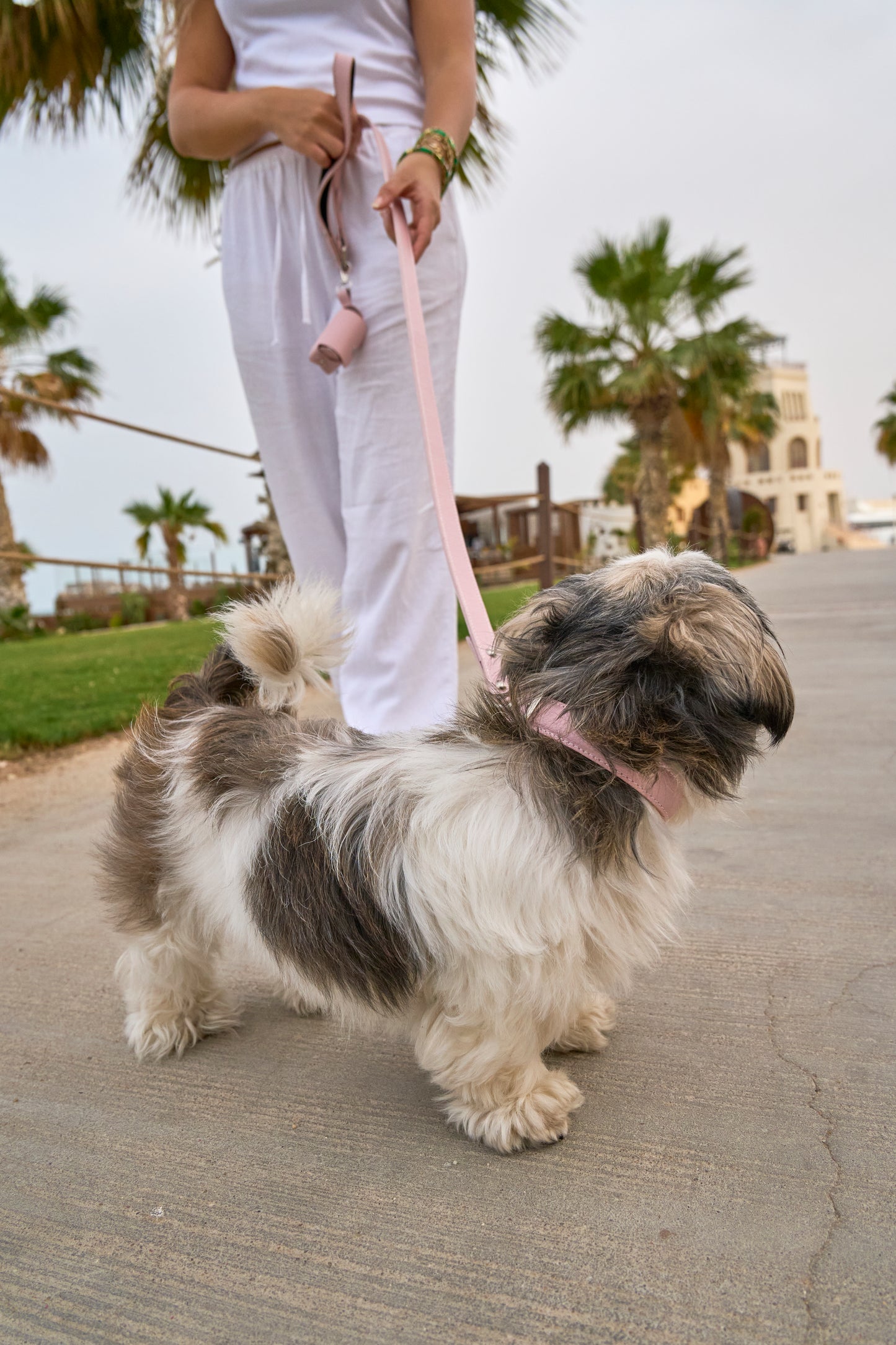 Light Pink PAWPAW Dog Collar + Leash + Poo Bag Holder Set