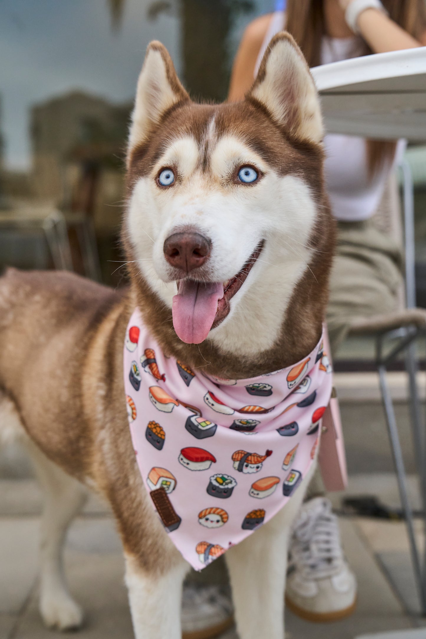 “Cutie Sushi” PAWPAW Dog Bandana