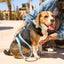 Sky Blue PAWPAW Dog Leather Collar