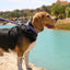Purple PAWPAW Dog Leather Collar