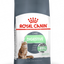 Digestive Care Royal Canin All Breeds Adult Cat Food