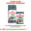 Digestive Care Royal Canin All Breeds Adult Cat Food