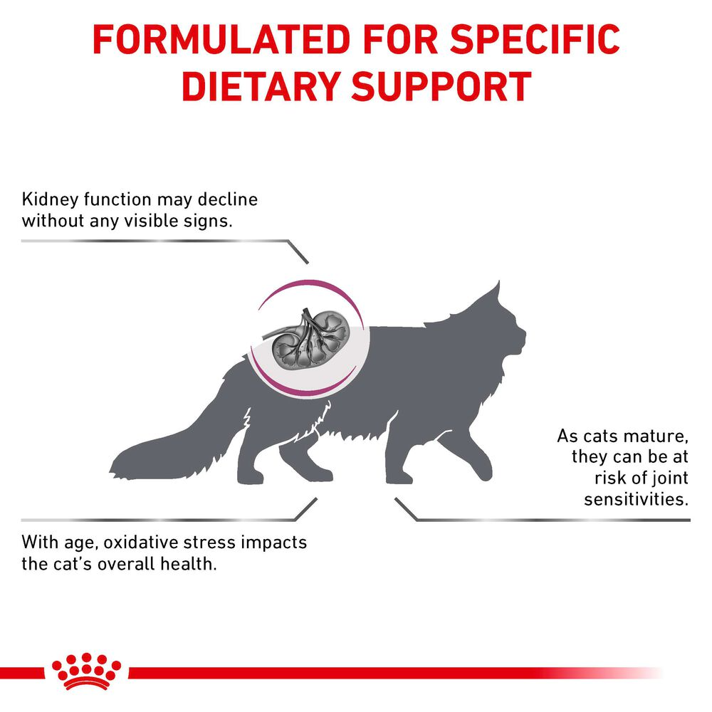 Early Renal Royal Canin All Breeds Adult Cat Food