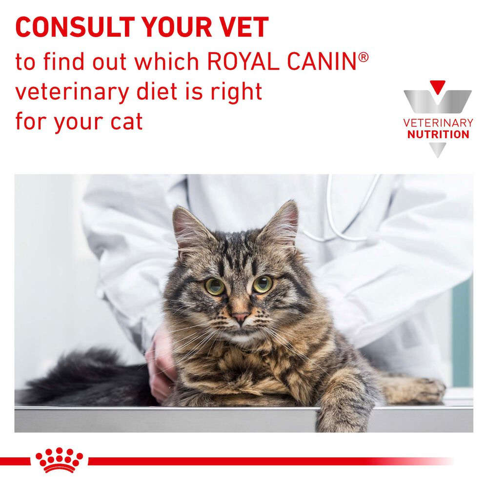 Early Renal Royal Canin All Breeds Adult Cat Food
