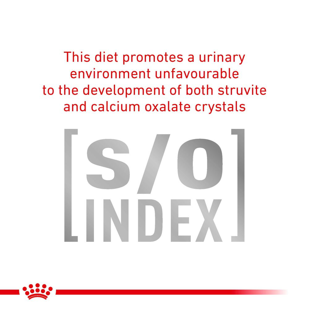 Early Renal Royal Canin All Breeds Adult Cat Food
