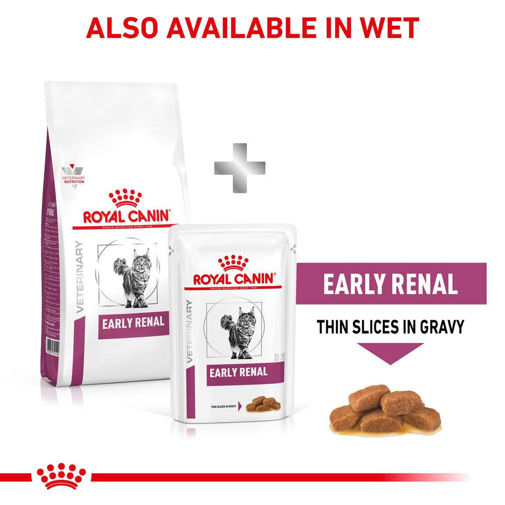 Early Renal Royal Canin All Breeds Adult Cat Food