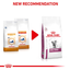 Early Renal Royal Canin All Breeds Adult Cat Food
