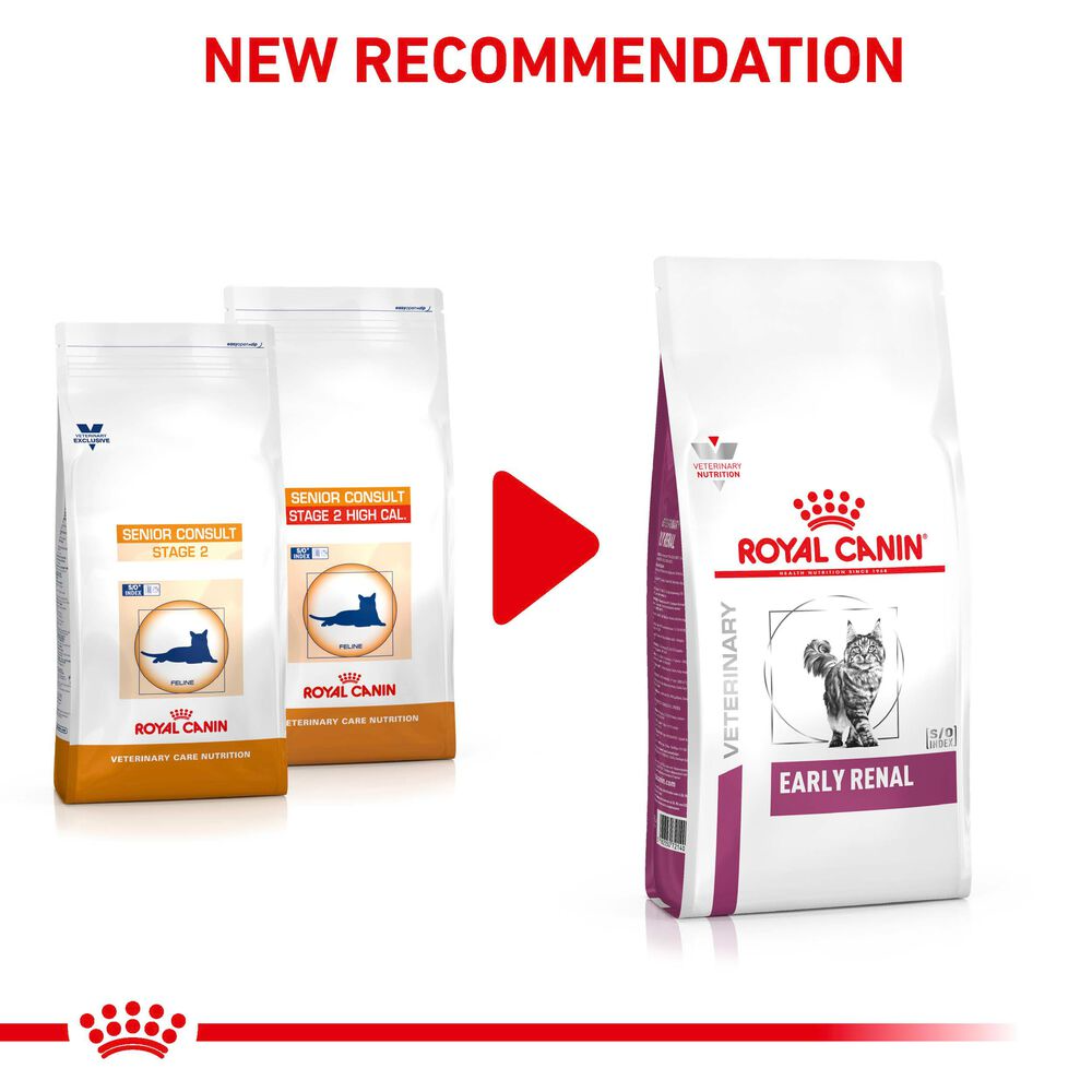 Early Renal Royal Canin All Breeds Adult Cat Food