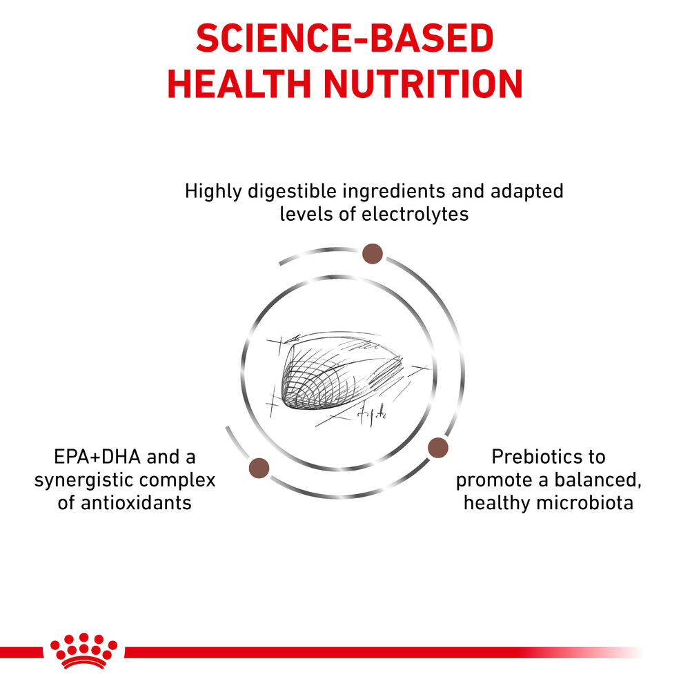 Gastrointestinal Royal Canin All Breeds Adult Cat Food