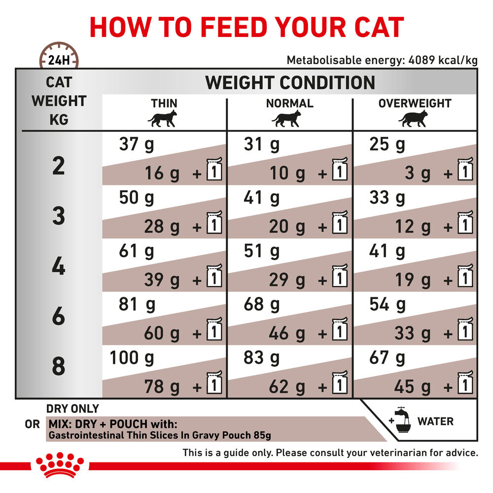 Gastrointestinal Royal Canin All Breeds Adult Cat Food
