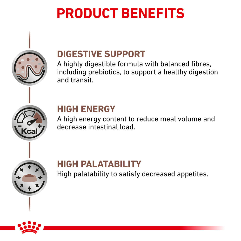 Gastrointestinal Royal Canin All Breeds Adult Cat Food