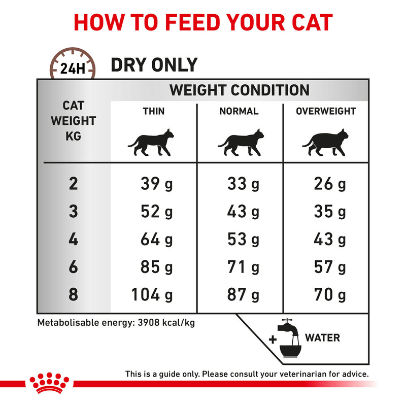 Gastrointestinal Fibre Response Royal Canin All Breeds Adult Cat Food