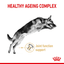 German Shepherd Ageing 5+ Royal Canin Mature Dog Food