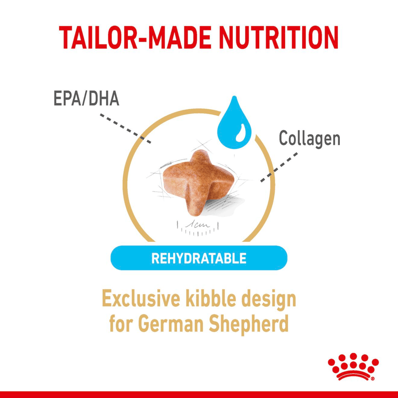 German Shepherd Ageing 5+ Royal Canin Mature Dog Food