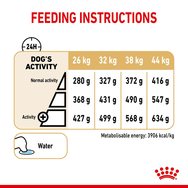 German Shepherd Ageing 5+ Royal Canin Mature Dog Food