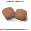 Giant Royal Canin X-Large Breed Adult Dog Food