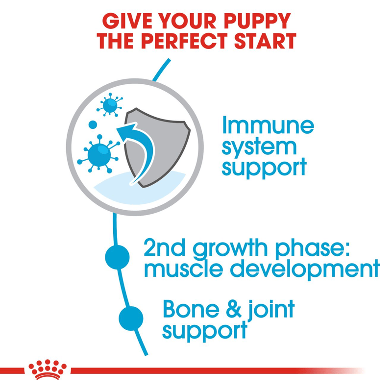 Giant Royal Canin X-Large Breed Junior Dog Food