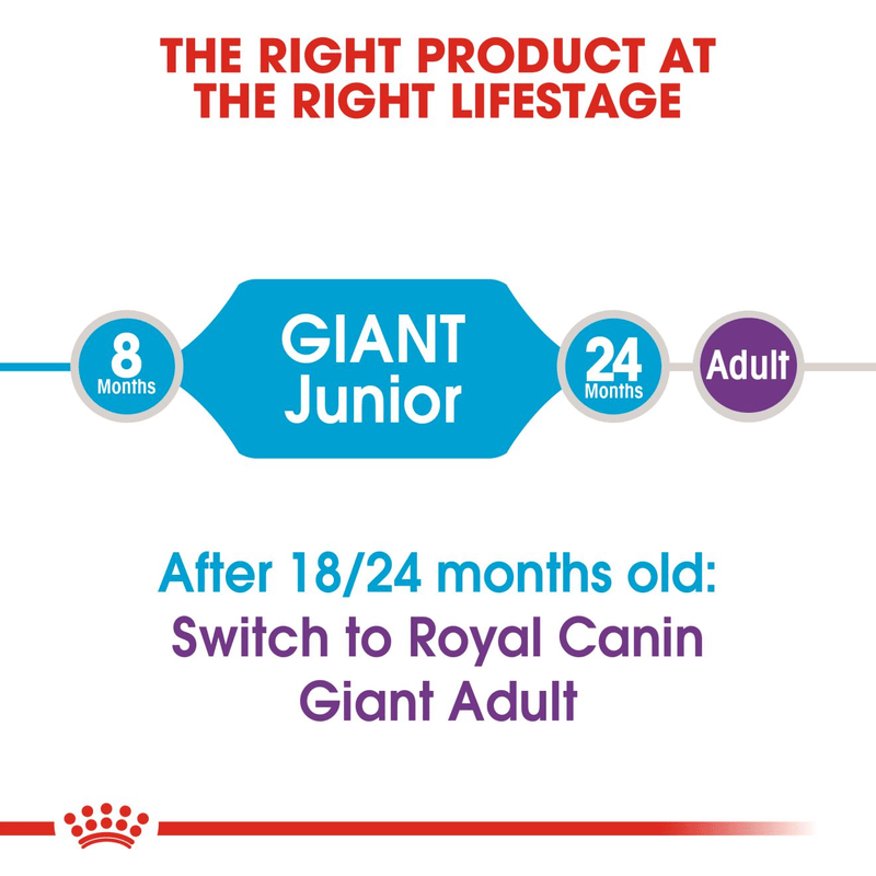 Giant Royal Canin X-Large Breed Junior Dog Food